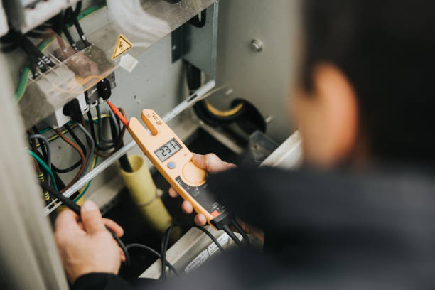 Best Electric Panel Repair  in Greensboro, GA